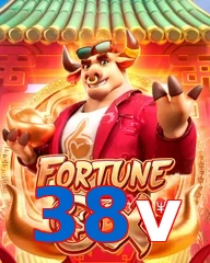 38v